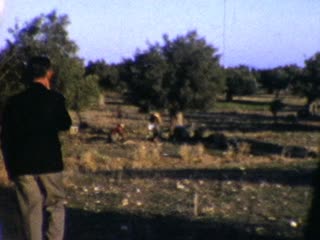 Orchards - Home Movie Clips