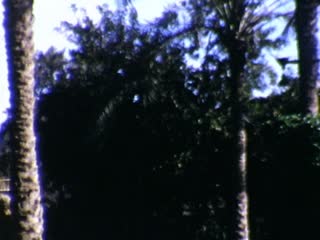 Giza - Home Movie Clips