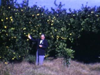 Plain of Sharon - Home Movie Clips