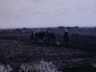 Plowing - Home Movie Clips