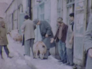 Lebanon - Home Movie Clips