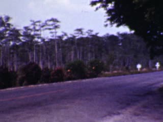 Canals - Home Movie Clips