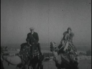 Camels - Home Movie Clips