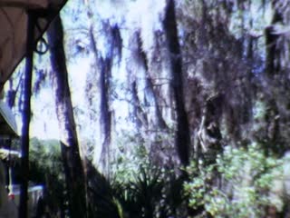 Trams - Home Movie Clips