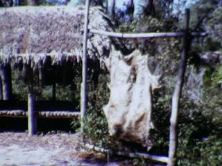 Weeki Wachee Springs - Home Movie Clips
