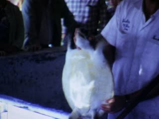 Theater of the Sea - Home Movie Clips