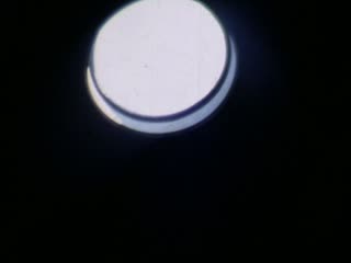 Columns - Home Movie Clips