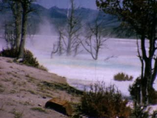 Mammoth Hot Springs - Home Movie Clips