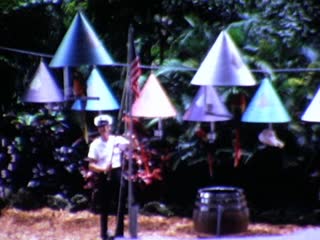 Parrots - Home Movie Clips