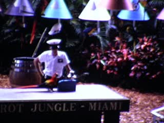 Animal Trainer - Home Movie Clips