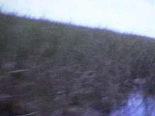 Everglades National Park - Home Movie Clips