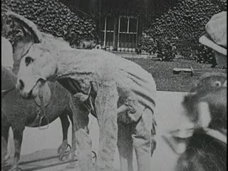 Clowns - Home Movie Clips