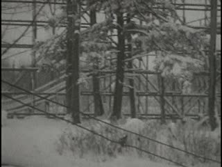 Roller Coasters - Home Movie Clips