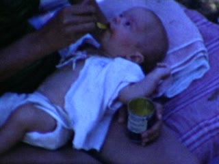 Richardson Grove State Park - Home Movie Clips