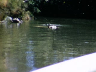 Anaheim - Home Movie Clips