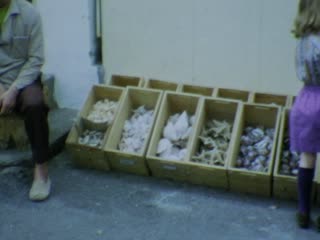 Fishmonger - Home Movie Clips