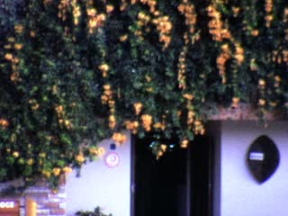 Keekorok Lodge - Home Movie Clips