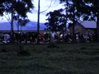 Menengai Forest - Home Movie Clips