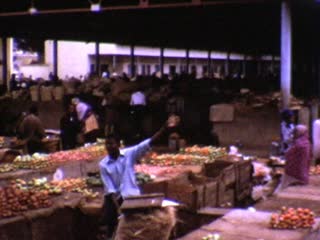 Arusha - Home Movie Clips